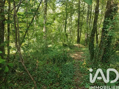 Land in Limeuil (24510)