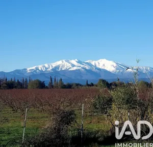 House in Laroque des Alberes (66740)