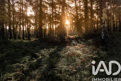 House in Anglet (64600)