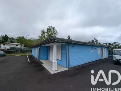 House at La Plaine-des-Palmistes (97431)