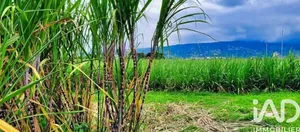 Farm land at Saint-Paul (97422)