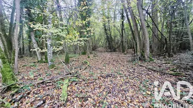 Land in Saint-Hilaire-Saint-Mesmin (45160)