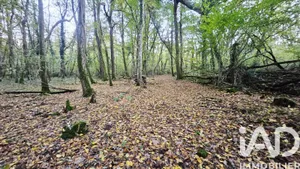 Land at Saint-Hilaire-Saint-Mesmin (45160)