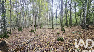 Land in Saint-Hilaire-Saint-Mesmin (45160)