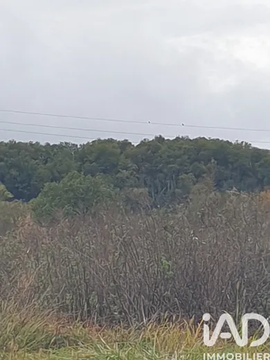 Land in Buzet-sur-Baïse (47160)