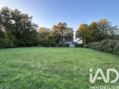 Terrain à bâtir à Chaumont-sur-Loire (41150)