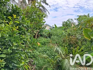 Building plot in Saint Benoit (97470)