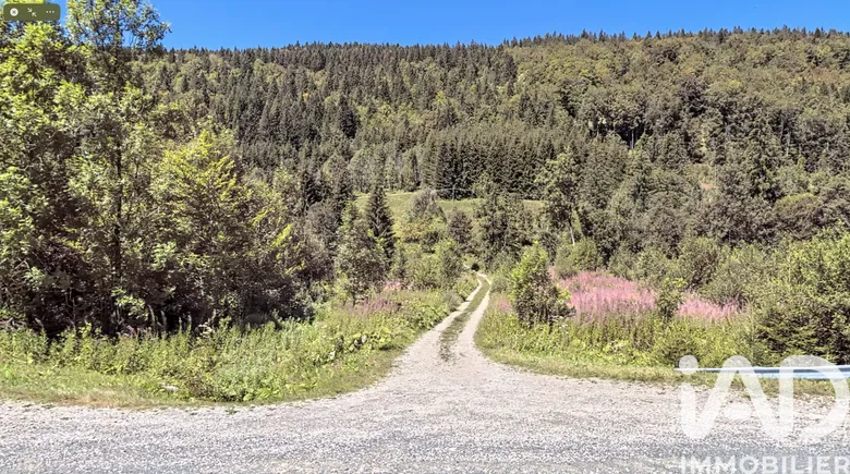 Terrain agricole à Septmoncel (39310) · à Septmoncel les Molunes · 280 000 €