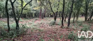 Terrain à Flassans-sur-Issole (83340)