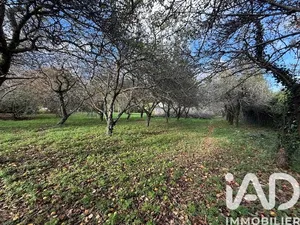 Terrain à Plozévet (29710)
