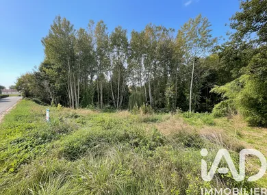 Land at Sommesous (51320)