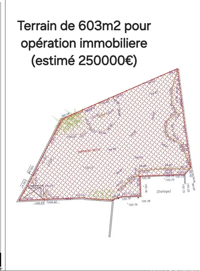 Maison à Villiers-Adam (95840)