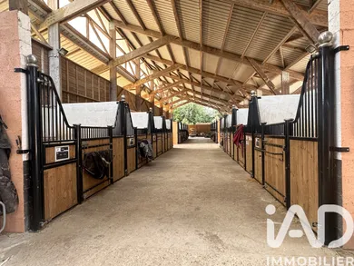 Domain in Gans (33430)