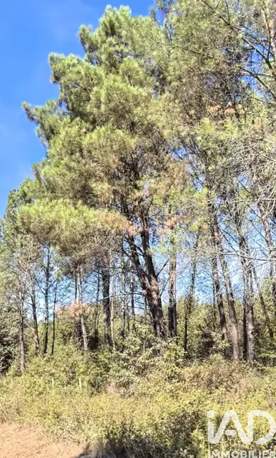 Land at Saint-Barthélemy-de-Bellegarde (24700)