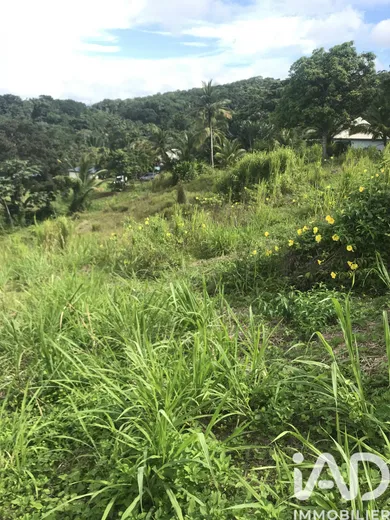 Land in Sainte Rose (97115)