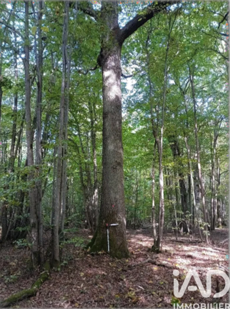 Terrain à Argentières (77390) · 3 467 000 €