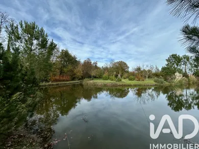 Leisure land at ALLONNES (49650)