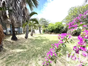 House at Saint-Pierre (97410)