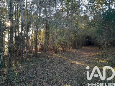 Terrain à Biscarrosse (40600)