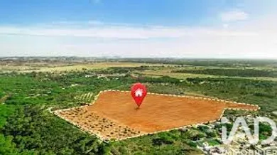 Building plot at Dolus-d'Oléron (17550)