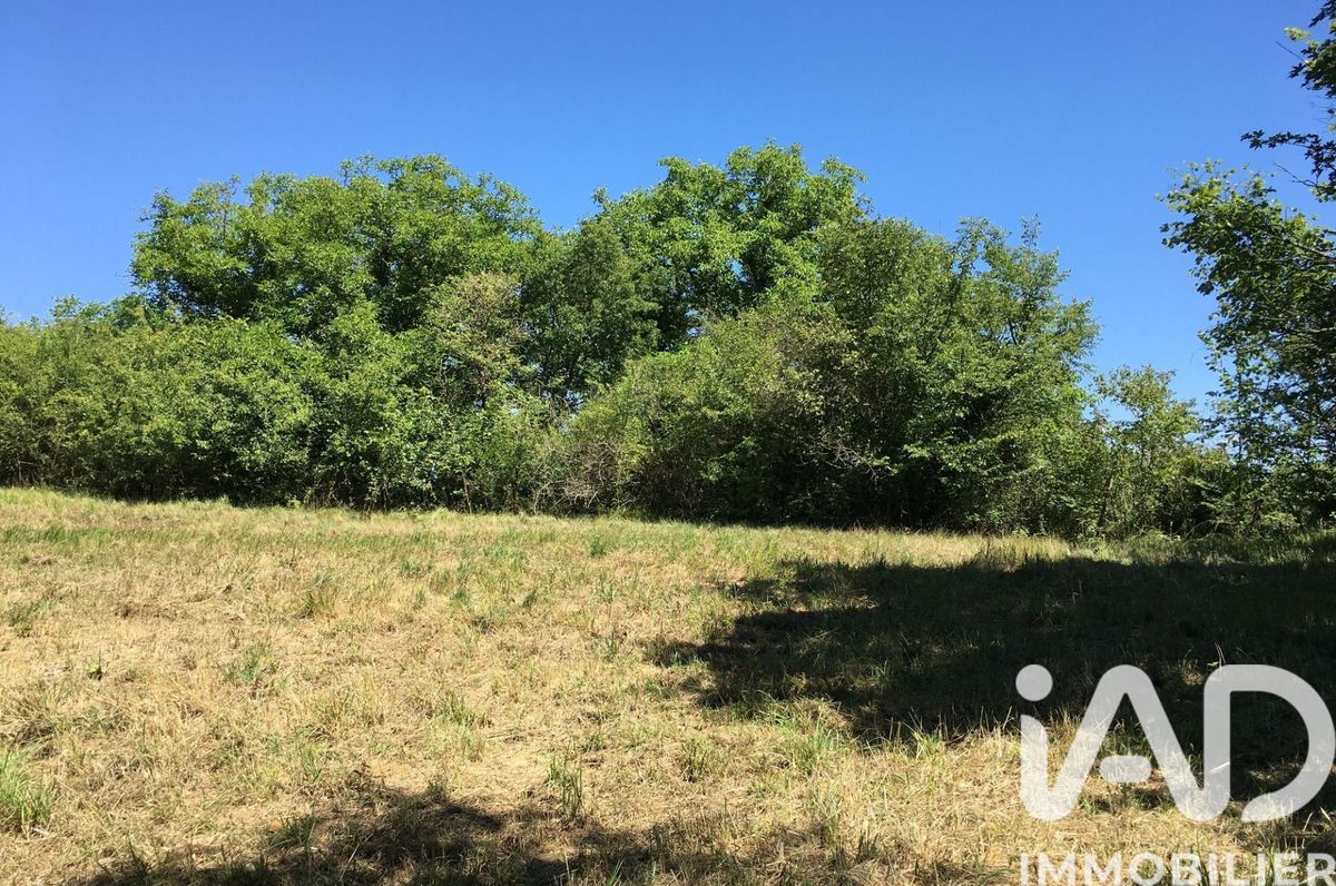 Vente terrain à Vivonne (86370) : terrain loisirs 16 285 m² - 1891009 - iad