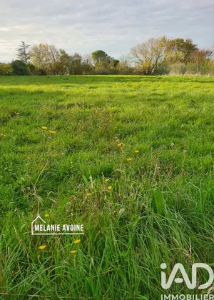 Terrain à bâtir à Le Thou (17290)