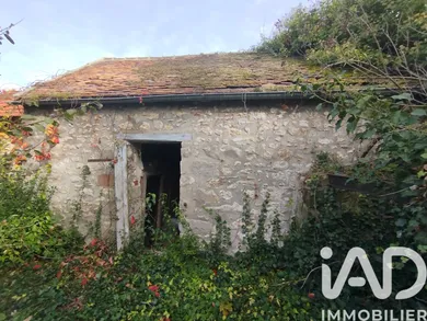 House in Larchant (77760)