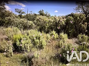 Land at SAINTE MAXIME (83120)