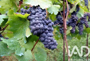 Farm land at Lalande-de-Pomerol (33500)