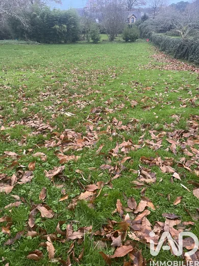 Terrain à Locoal-Mendon (56550)