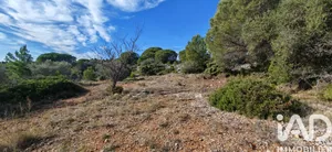 Leisure land in la palme (11480)