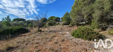 Leisure land in la palme (11480)