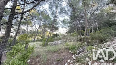 Terrain loisirs à Calvisson (30420)