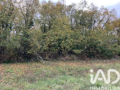 Building plot in Doué-en-Anjou (49700)