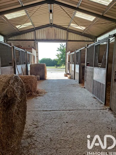 Horses property in Chenoise (77160)