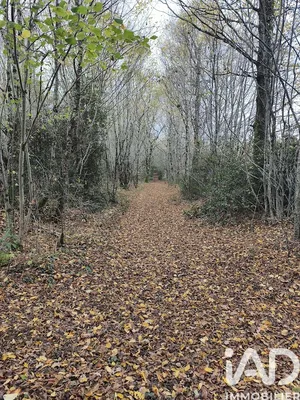 Terrain à Val d'Issoire (87330)