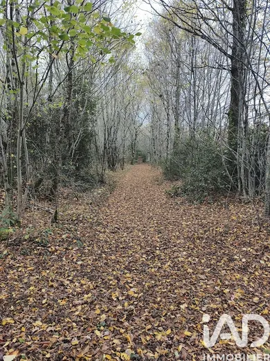 Land at Val d'Issoire (87330)