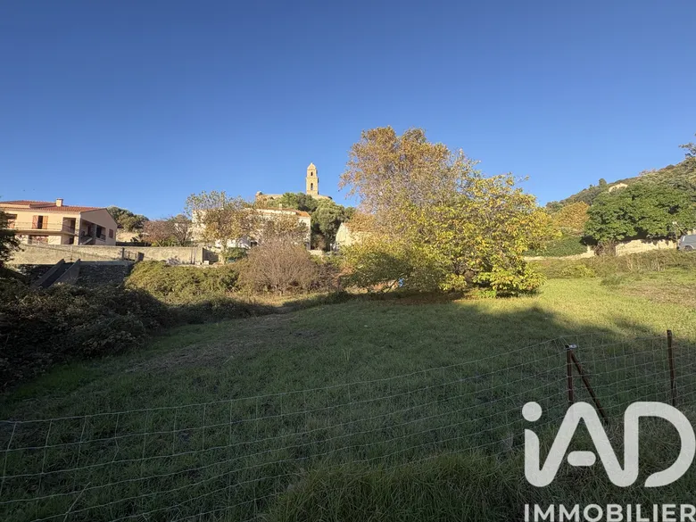 Terrain à Patrimonio (20253) · 320 000 €