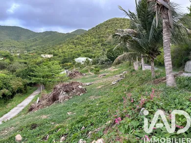 Building plot in SAINT MARTIN (97150)