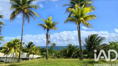 Appartement à SAINT FRANCOIS (97118)