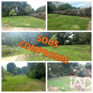 Terrain à Martinet (85150)