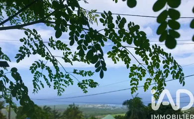 Building plot at Les Avirons (97425)