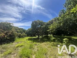 Building plot in Saint-Pierre (97410)