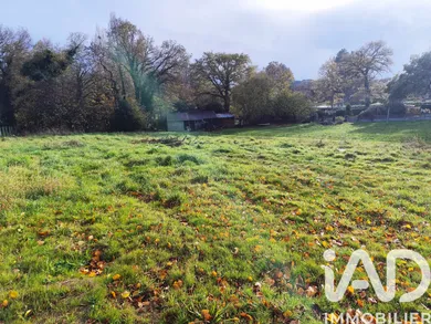 Land at Rieux (56350)