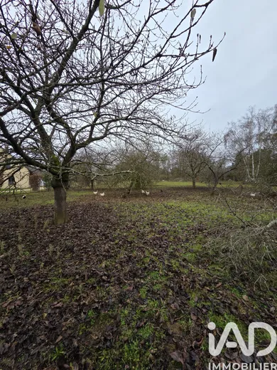 Land in Savigné-l'Évêque (72460)