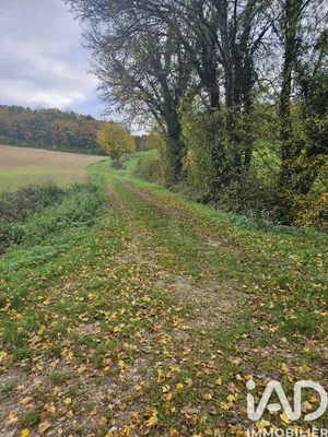 Terrain loisirs à VILLENEUVE SUR YONNE (89500)