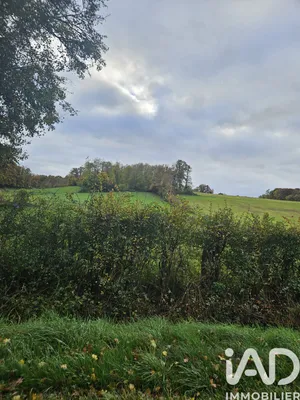 Terrain loisirs à VILLENEUVE SUR YONNE (89500)