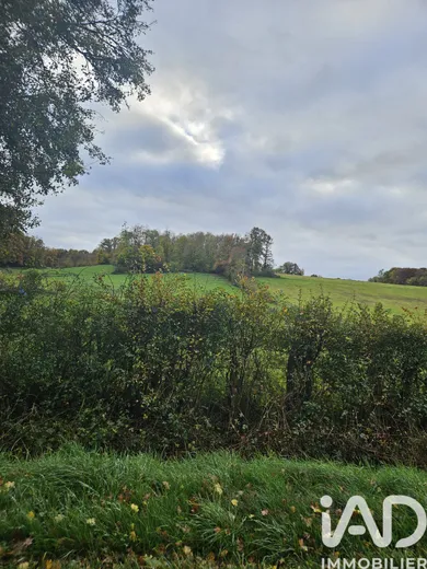 Leisure land in VILLENEUVE SUR YONNE (89500)