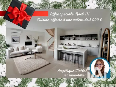 Traditional house at Saint-Clair-du-Rhône (38370)