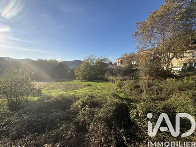 Terrain à Patrimonio (20253)
